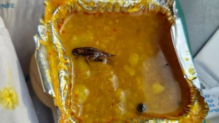 IRCTC Imposes Fine On Service Provider After Dead Cockroach Found In Meal Served Inside Vande Bharat Train